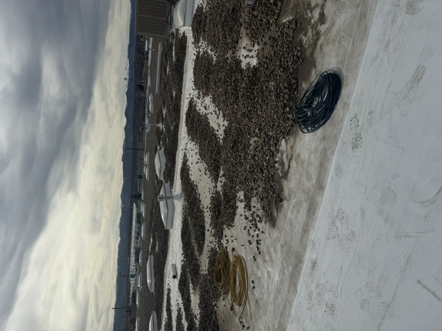 Ballasted TPO CHI Roof