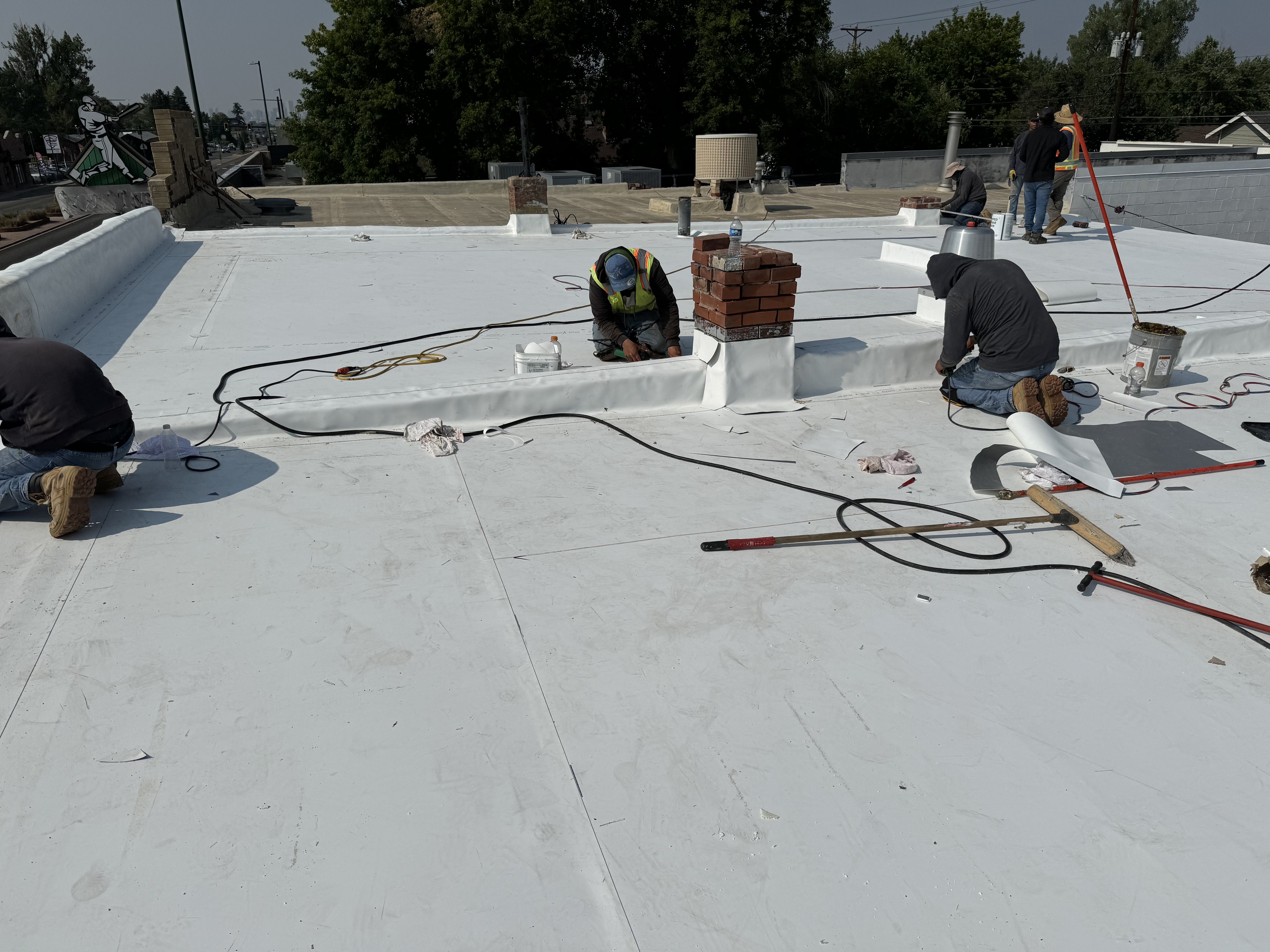 Barks on Broadway Re-Roof