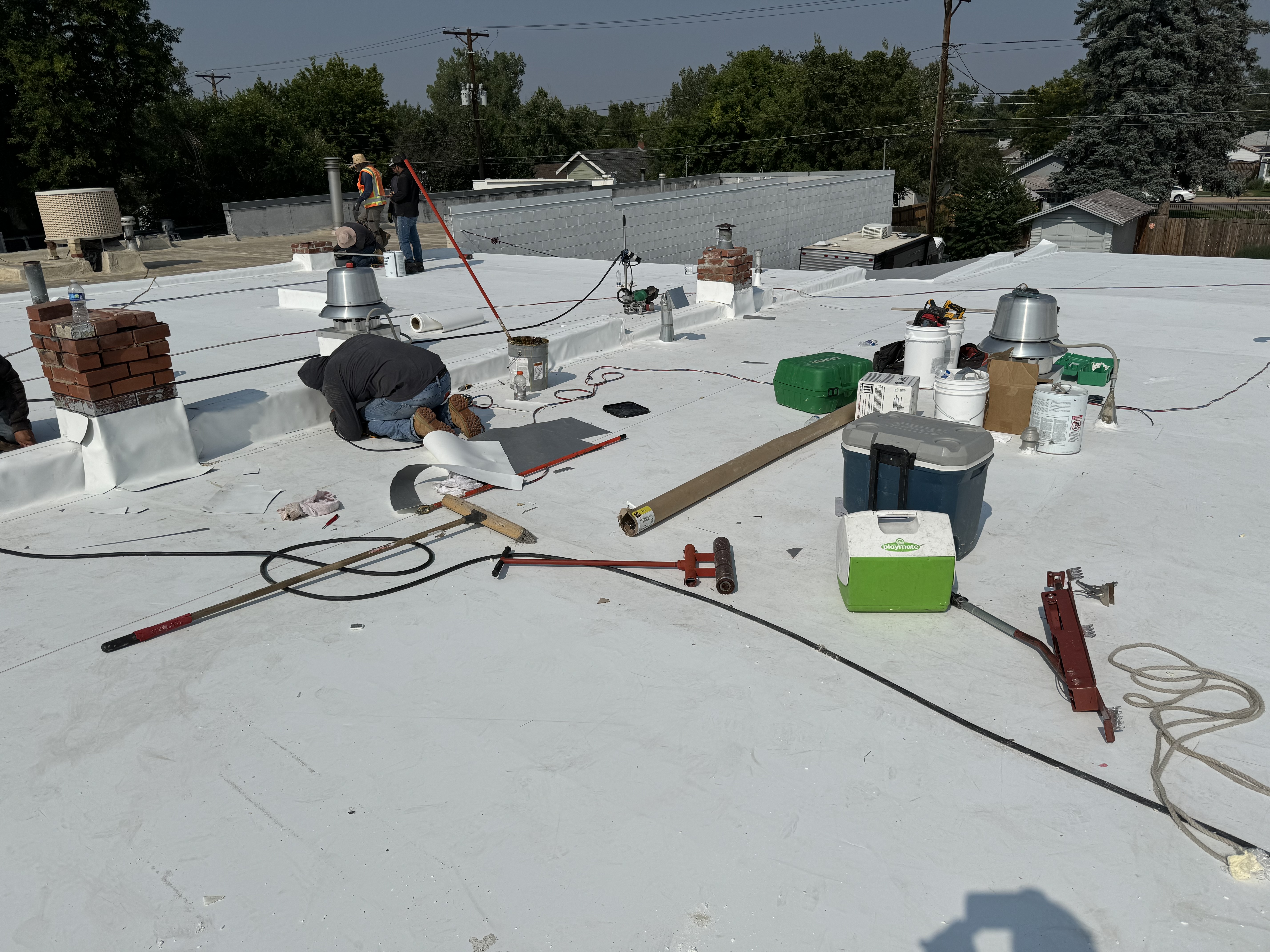 Barks on Broadway Re-Roof