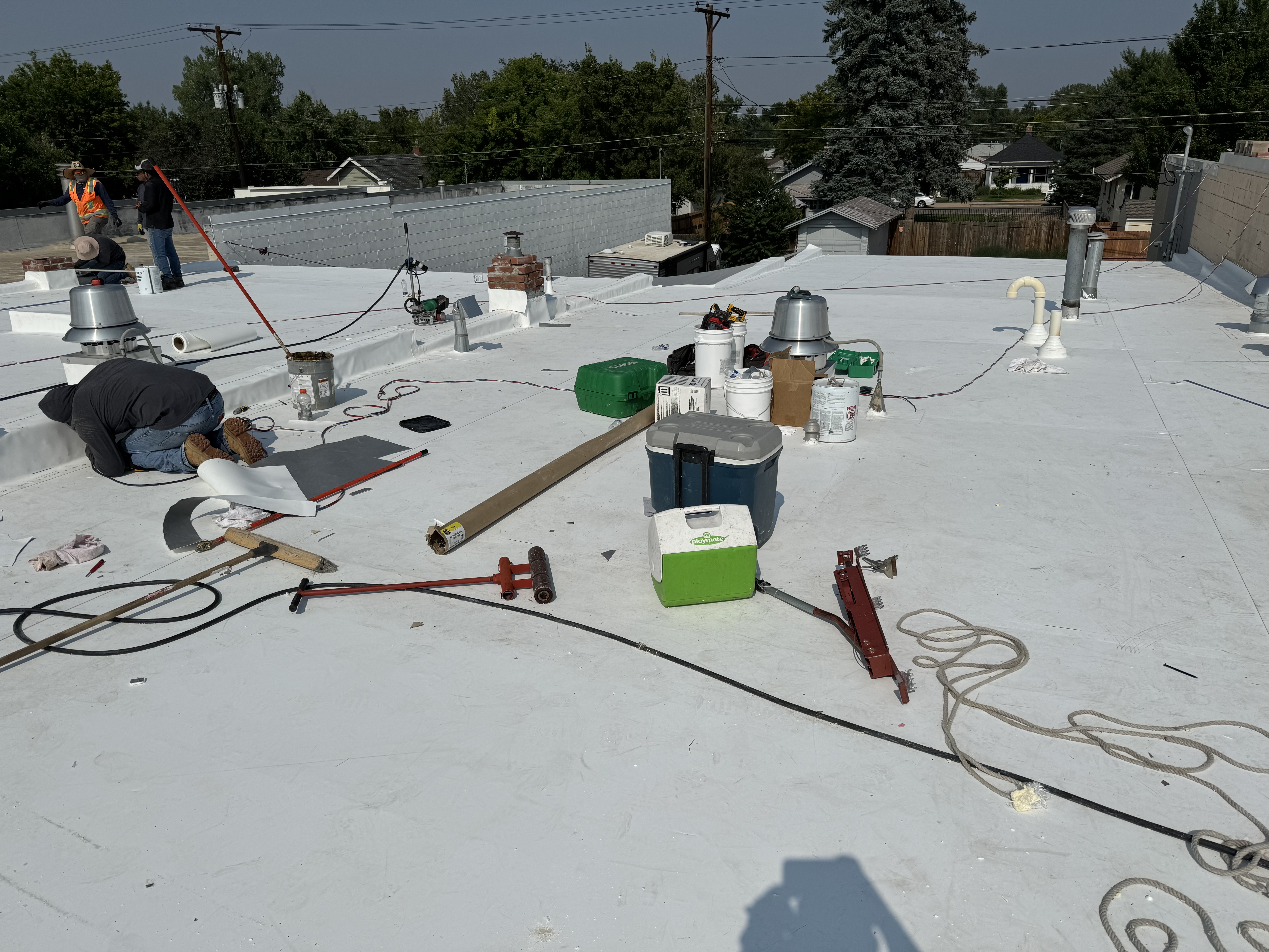 Barks on Broadway Re-Roof