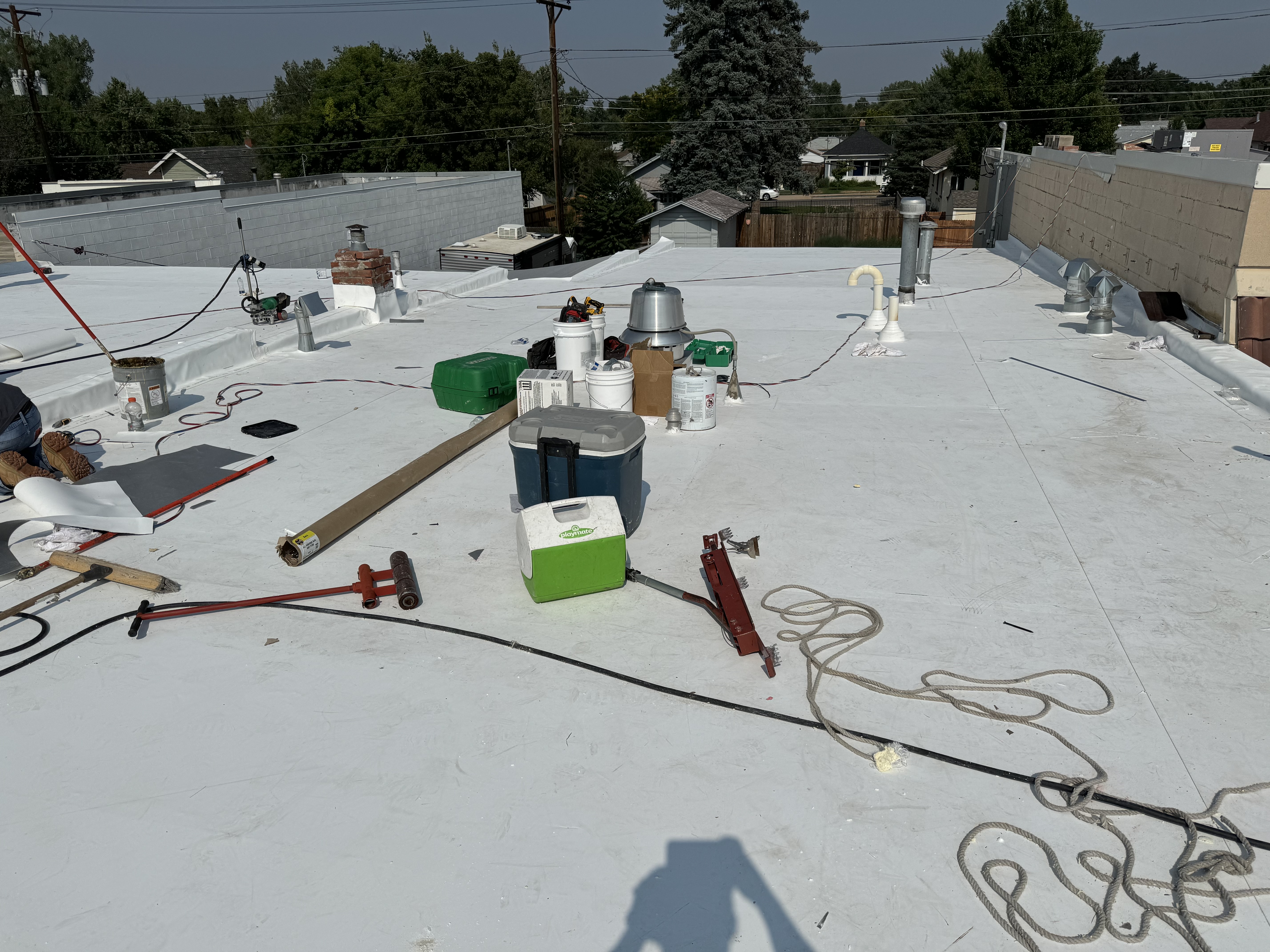 Barks on Broadway Re-Roof