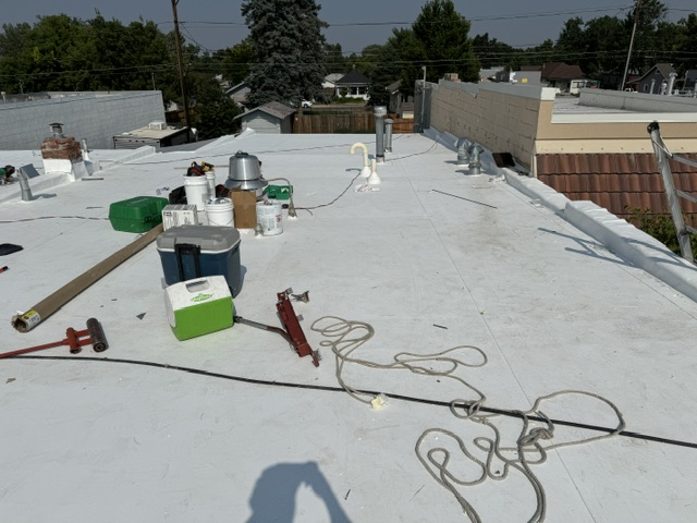 Barks on Broadway Re-Roof