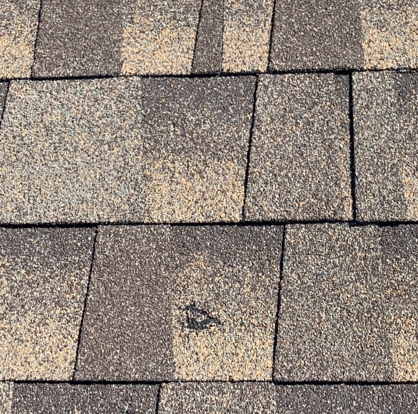 Hail Damage Roof Repair | Lakewood, CO